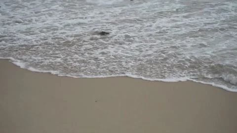 The waves on the beach Stock Footage 144961989