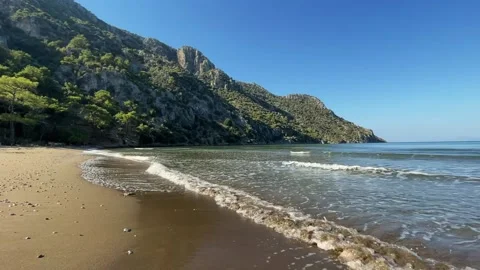 Waves on the beach Video stock 236842095