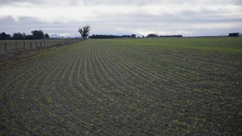 Waves on a beach Stock Footage 243421973