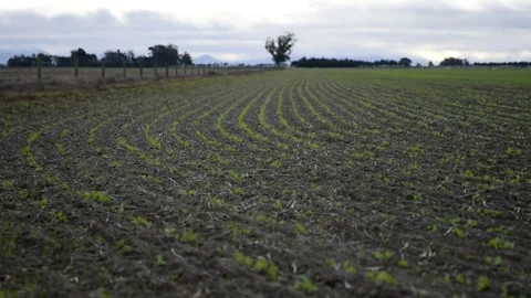 Waves on a beach Stock Footage 243421987