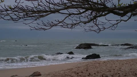 Waves on the beach at night with rocks and tree Stock Footage 139576360