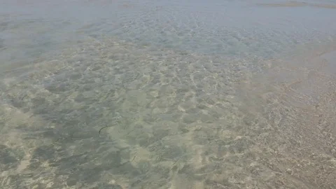 Waves on the beach on the ocean Vídeo Stock 81483939