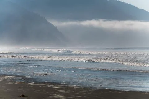 Waves at the beach. Stock Photos