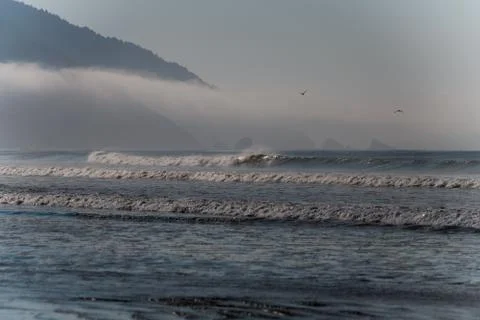 Waves at the beach. Stock Photos