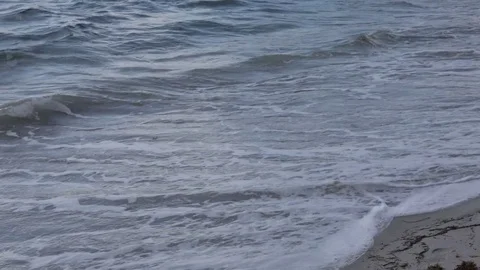 Waves on Beach with Seasweed Accumulating Video stock 83974748