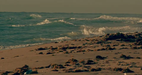 Waves on Beach with Seaweed Stock Footage 35797011