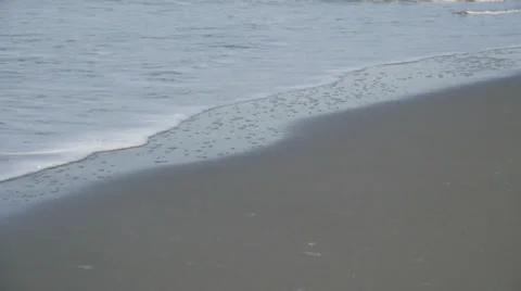 Waves at Beach Shore Video stock 35754840