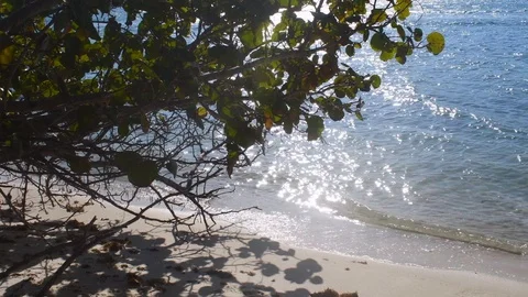 Waves on a beach with the sun glistening Stock Footage 108519852