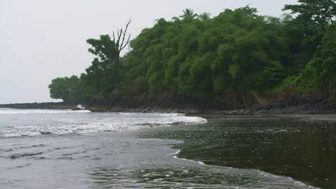 Waves on the beach wash the forest, Cameroon, Africa Stock Footage 261512659