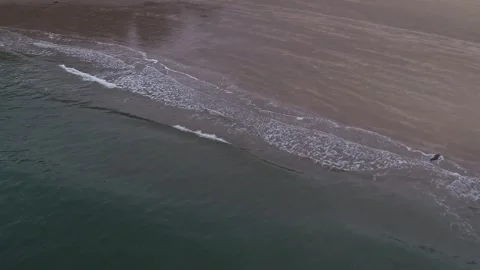 Waves on the beach, waves on the ocean  스톡 동영상 310919777