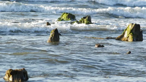 Waves beat about the stumps Stock Footage 90609276