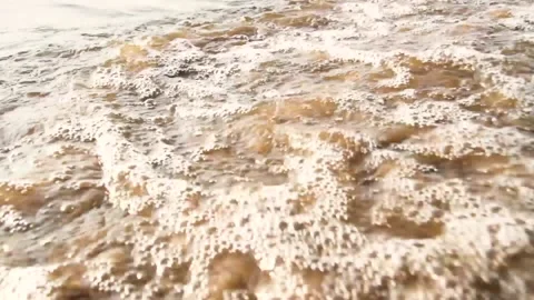 The waves beat against the sand. Sunset on the river. Beautiful sunset on the Stock Footage 217771659