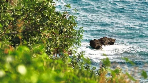 Waves beat against a stone. Vídeo Stock 80228311