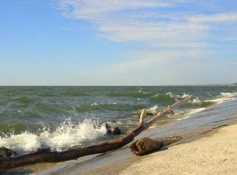 Waves beat on the beach lined with concrete slabs and strewn with dry logs. Stock Photos