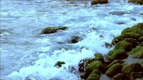 Waves beating against rocks covered with moss Stock Footage 77863114