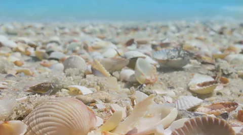 The waves beating against the shore of a sandy beach with seashells. Slow motion Stock Footage 65988788
