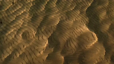 Waves of the beautiful lake. Video stock 158616141