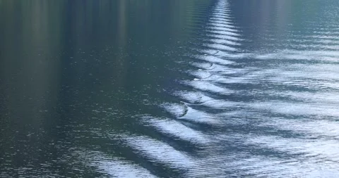 Waves behind a moving ship Stock Footage 312315610