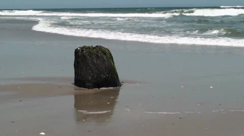 Waves behind a stump Stock Footage 30137945