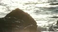 Waves between marine rocks HD Footage