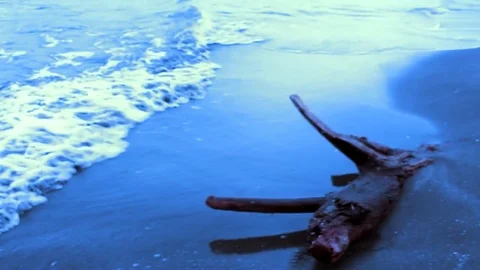 Waves on a blue beach with timber Stock Footage 76661896