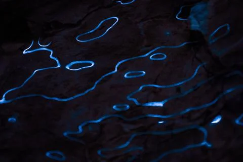 Waves of blue light reflections on dark background. Abstract curves lines of Stock Photos