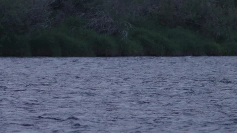 Waves on a blue river in slow motion with birds flying above the water Stock Footage 93629111