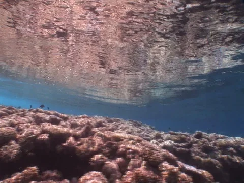 Waves break above Stock Footage 98503452