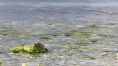 The waves break on the beach. Stock Footage 55266813