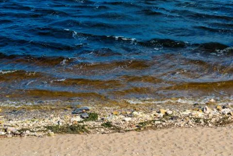 Waves break on the beach Stock Photos
