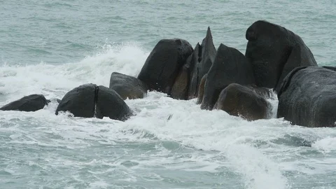Waves break on dark rocks near beach Stock Footage 128301904