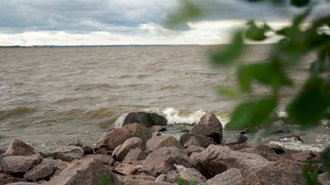 Waves break on the rocks seashore,tree grows nearby its leave Stock Footage 102055595