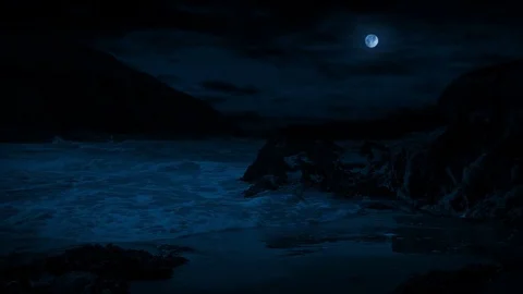 Waves Break On Rocky Beach In The Moonlight Stock Footage