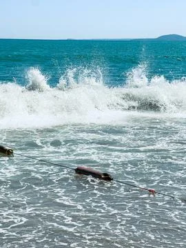 Waves break on the sandy beach. A rope connects to a buoy floating in the wat Stock Photos