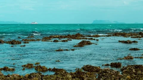 Waves Breaking Across Exposed Rocks at Extreme Low Tide 스톡 동영상 341909451