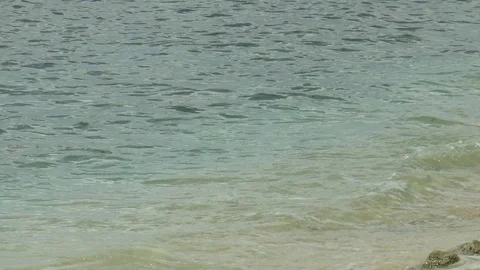 Waves Breaking On A Barbados Shore Stock Footage 107670851