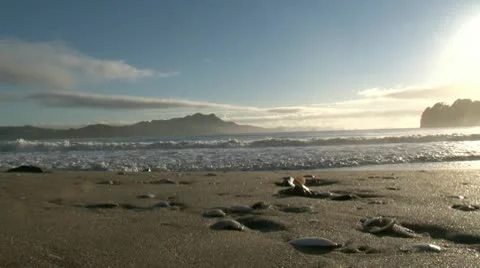 Waves breaking on beach. Stock Footage 10710303