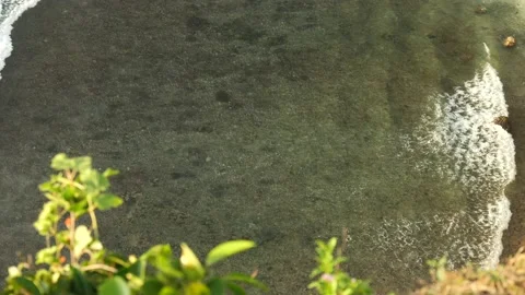 WAVES BREAKING BIRDS EYE FROM CLIFF Stock Footage 221301232