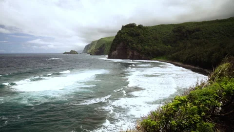 Waves Breaking with cliffs in the background Video stock 313222235