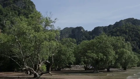 Waves breaking on coastline  Stock Footage 81756905