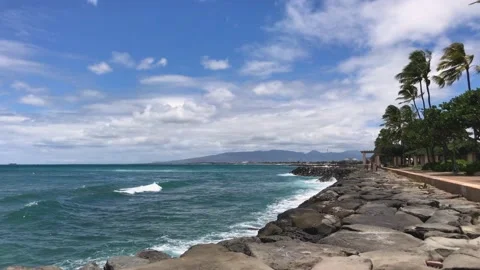 Waves breaking on jetty rocks, palm trees blow on windy beautiful tropical day. Stock Footage 133823046