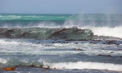 Waves breaking over kelp bed Stock Photos