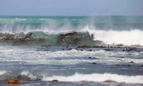 Waves breaking over kelp bed Stock Photos