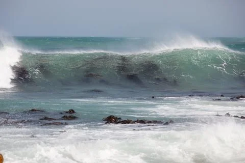 Waves breaking over kelp bed Stock Photos