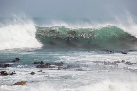 Waves breaking over kelp bed Stock Photos