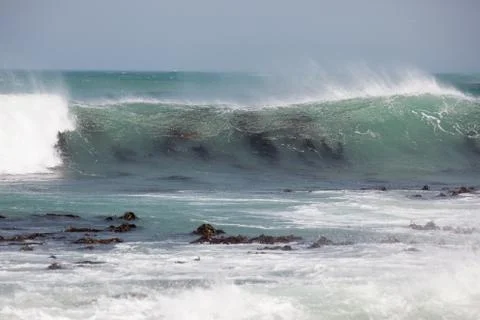 Waves breaking over kelp bed Stock Photos
