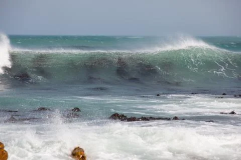 Waves breaking over kelp bed Stock Photos