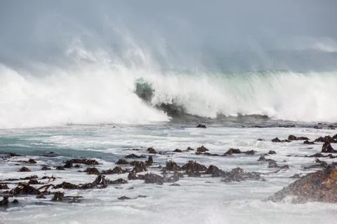 Waves breaking over kelp bed Stock Photos