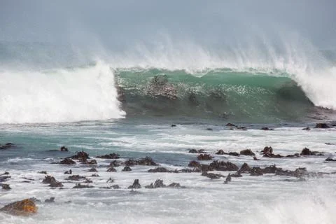 Waves breaking over kelp bed Stock Photos