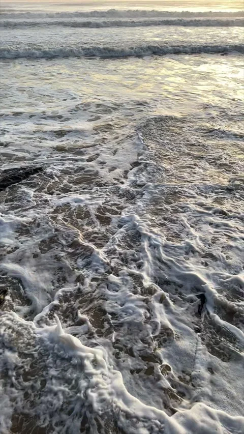 Waves Breaking over Low Rocky Shoreline Morning Sunlight Vidéo 301665255